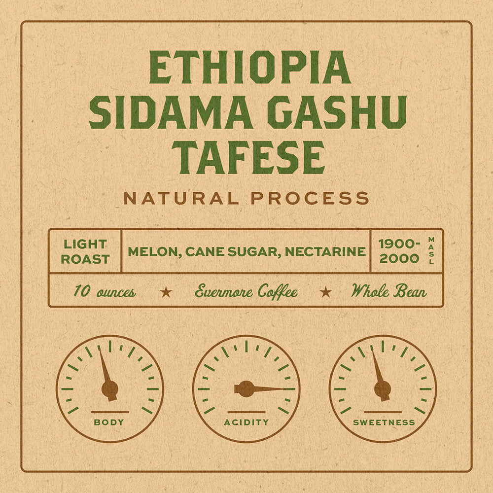 Ethiopia Sidama Gashu Tafese