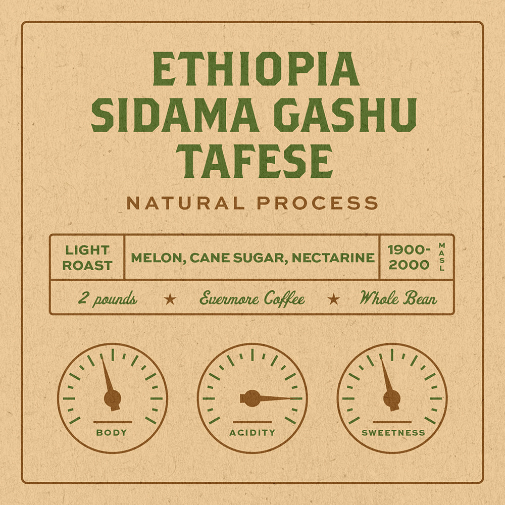 Ethiopia Sidama Gashu Tafese